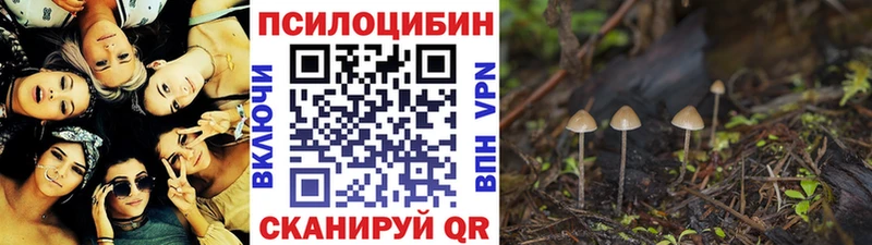 blacksprut маркетплейс  даркнет сайт  Красноярск  Галлюциногенные грибы ЛСД 