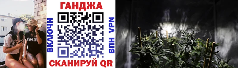 Конопля сатива  ссылка на мегу зеркало  сайты даркнета как зайти  дарнет шоп  Красноярск 